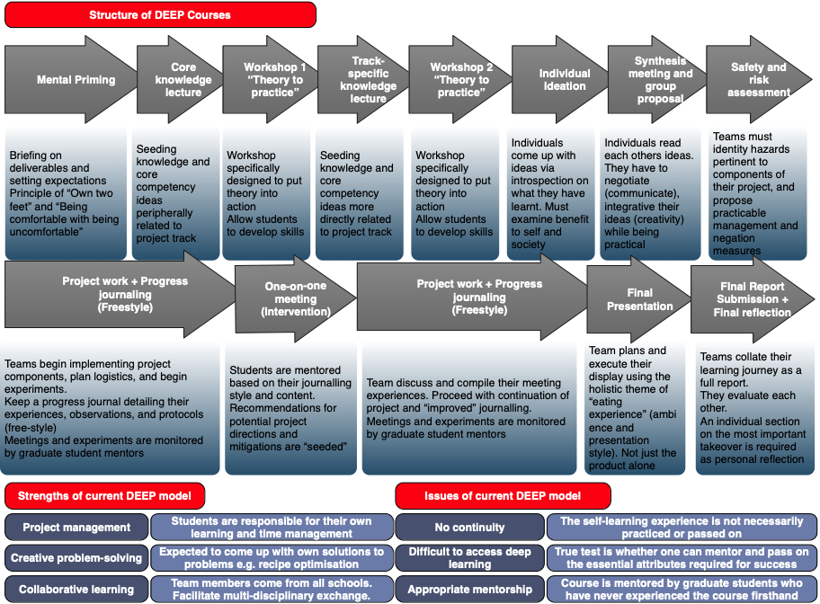 DEEP course structure